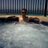 alonso_jam's profile image