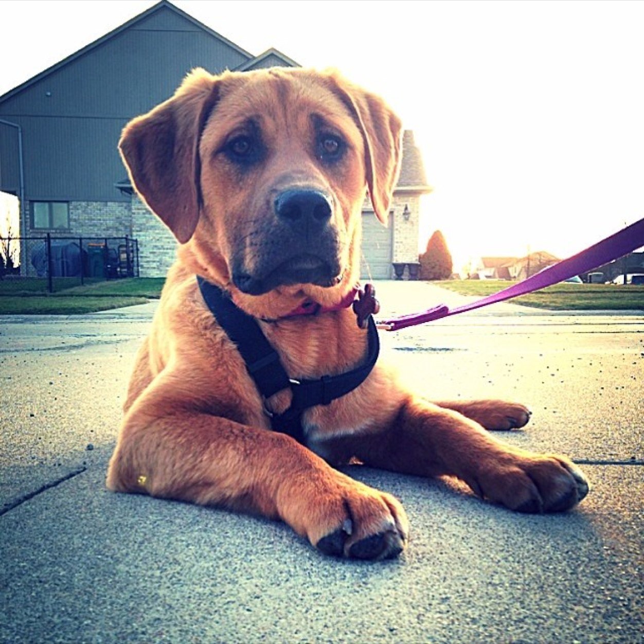 dsilkwo's profile picture. Proud mom of three great kids!