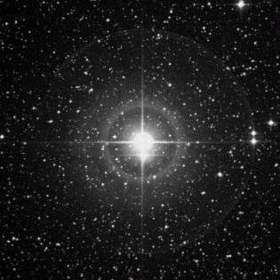 EngZin's profile picture. 