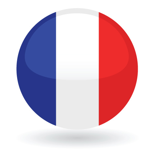 Cursos de francês online. Aprenda francês com melhores professores em qualquer lugar que você for!