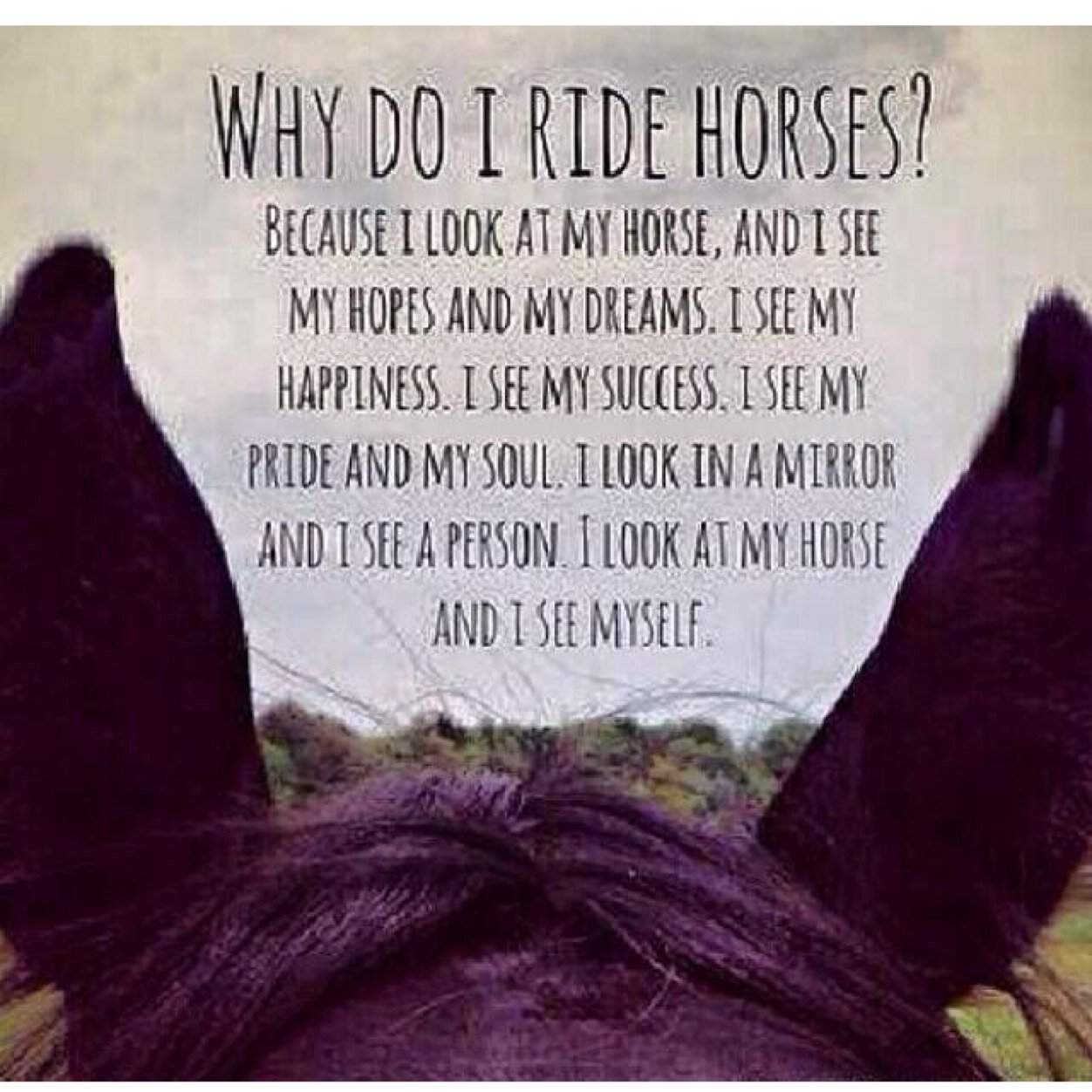 JustJump99's profile picture. Heels down, eyes up  ~Zone 5