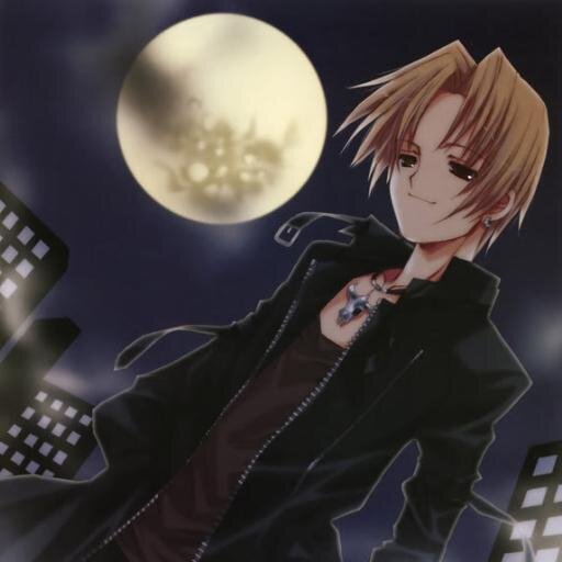 My name is Kevin Akatsu. It's nice to meet you all, but becareful when it's nighttime please. Species:Human (Day) Vampire/Dark Angel (Night) Lv.47 Age:19