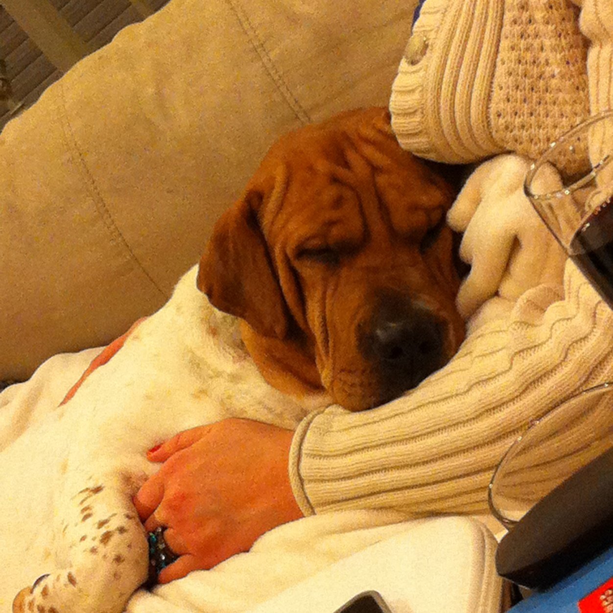 Pitab22's profile picture. 