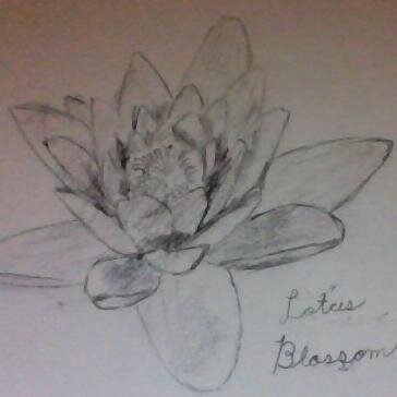 iainfergi's profile picture. 