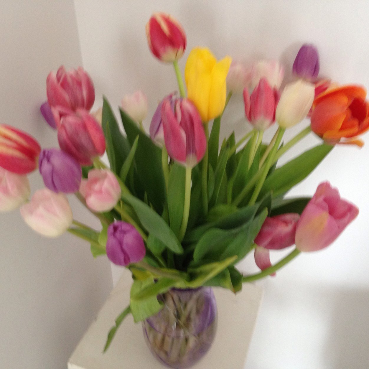 Martin3PEC's profile picture. 