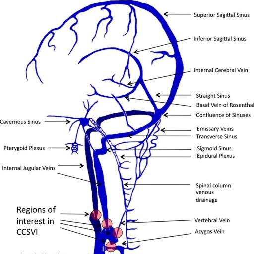 seaeagles174's profile picture. Proud Manly Sea Eagles Supporter