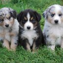 Matt Blanks - @MattBlanks1 - Twitter