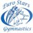 Euro_Stars_Gym's profile image