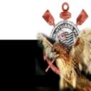 Wanda Atkins - @wandawn294 - Twitter