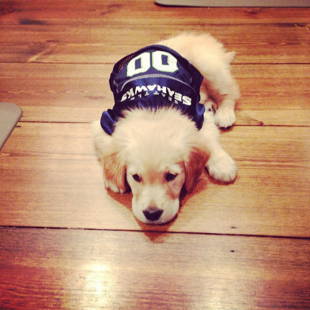 sbwinnick's profile picture. 