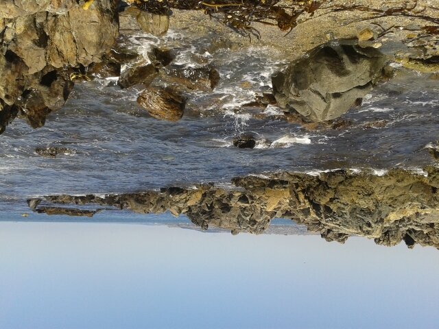 albert39304798's profile picture. 