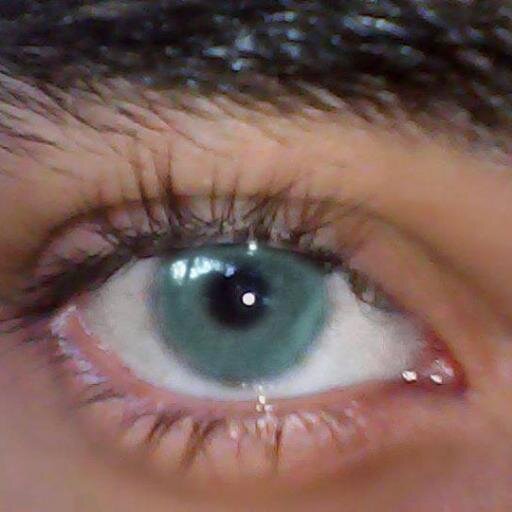 I am a true belieberboy bieber team &; team gomez 
I really like the music and I love rock