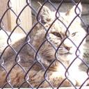 Ralph Donato - @ralphd42 - Twitter