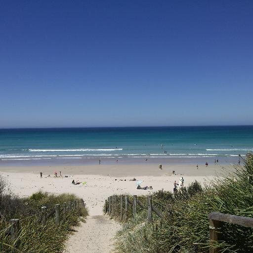 MelodyOfWords7's profile picture. Who needs sleep when you've got the internet