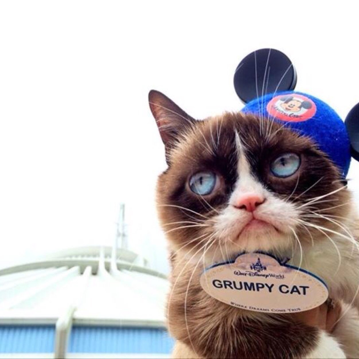 PollyDoolittle's profile picture. I'm a full time music student and loving every minute of it. Even the crazy bits.