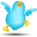 t14yamt's profile picture. 