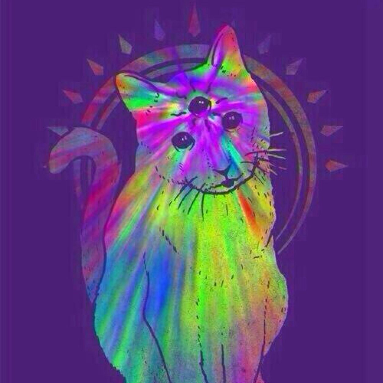 TurlockVIBE's profile picture. ||Come Vibe With Us In Turlock Ca on MAY31st 2014||TICKETS ONSALE SOON||EDM|| HIGHSCHOOL ID REQUIRED||we are NOT like HeatWave||