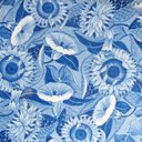 Alice Lloyd - @alicerlloyd - Twitter