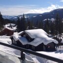 Helen knight - @Helenknight43 - Twitter