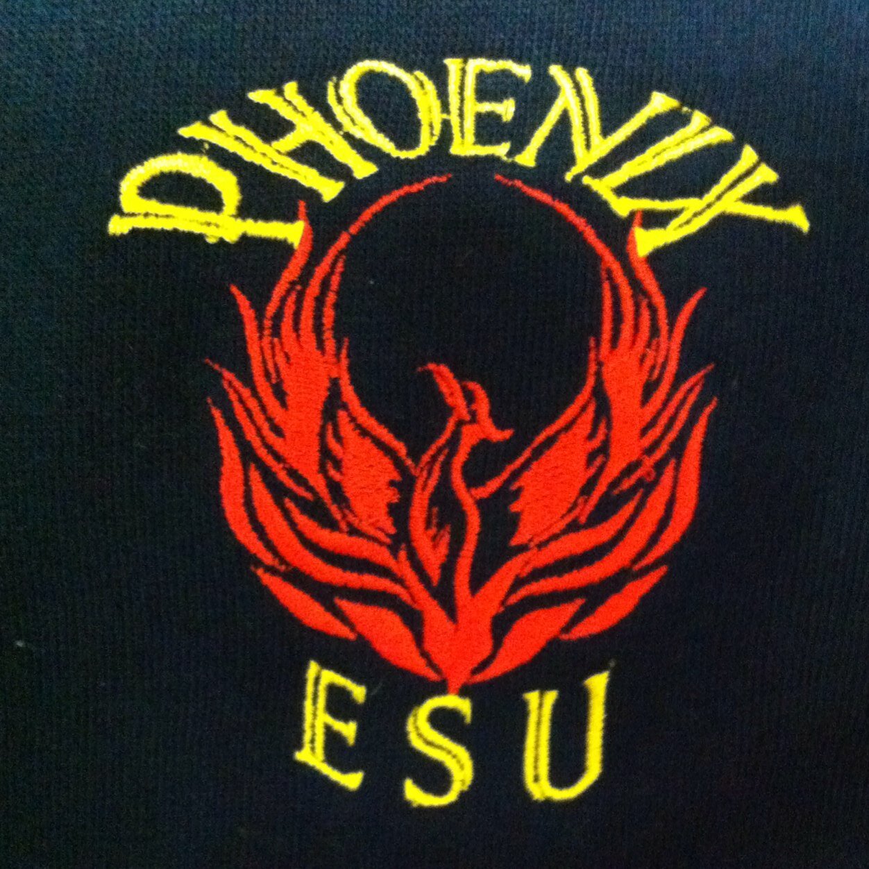 This is the official twitter for Phoenix ESU in Altside district Merseyside.