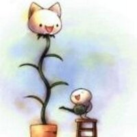 Ain (@ain) 's Twitter Profile