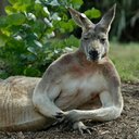 Mitch Dunn - @mitchy_dunn - Twitter