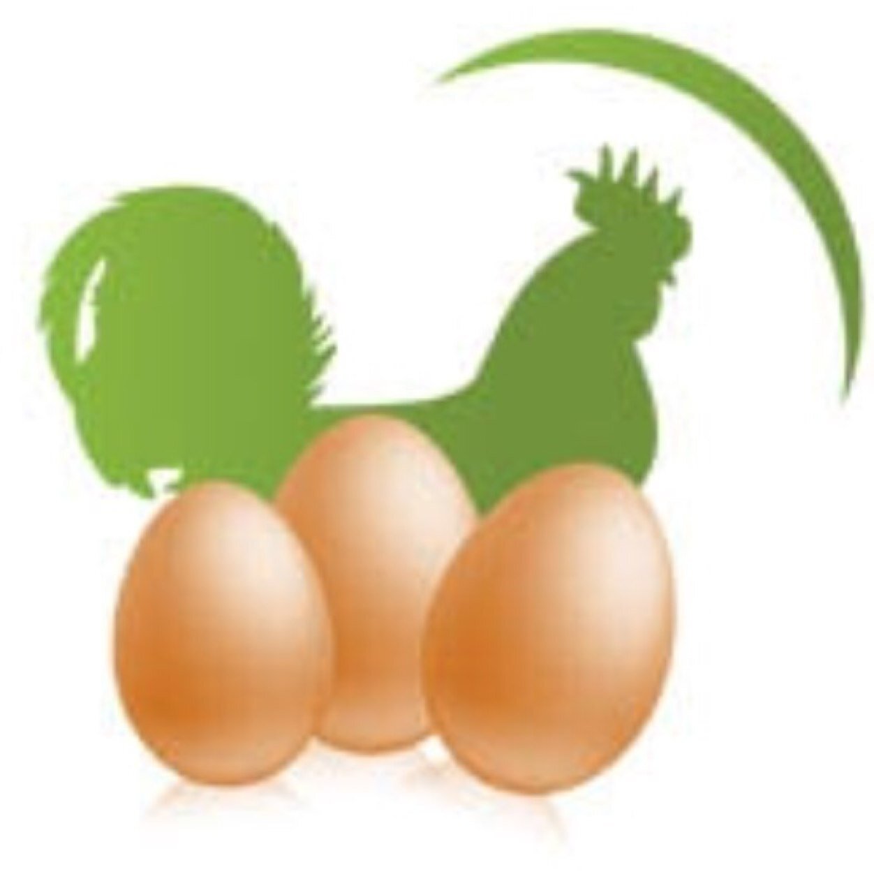 eierschachteln's profile picture. Eierschachteln und bio Hühnerfutter ... Impressum unter: http://t.co/0IHOHAiBpn