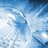 WordPress_Cloud's profile image