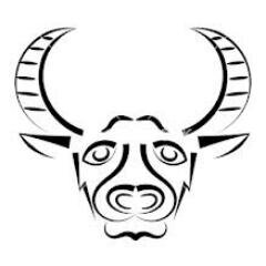 PS3, Cybergamer, PSN-BulLZ-Q
