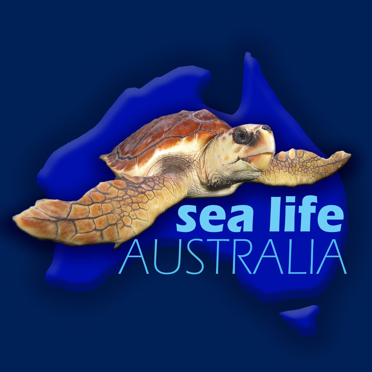 DownunderTheSea's profile picture. Marine life education and publications. Diving, snorkelling and underwater photography