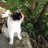 n49680's profile image