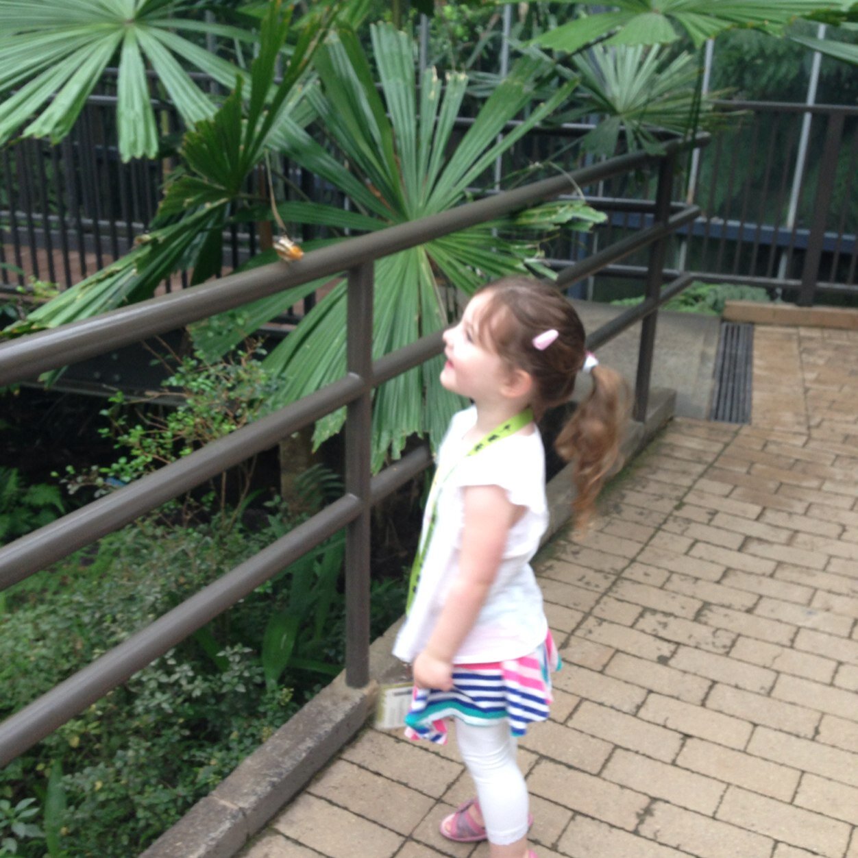 meredithfannin's profile picture. 