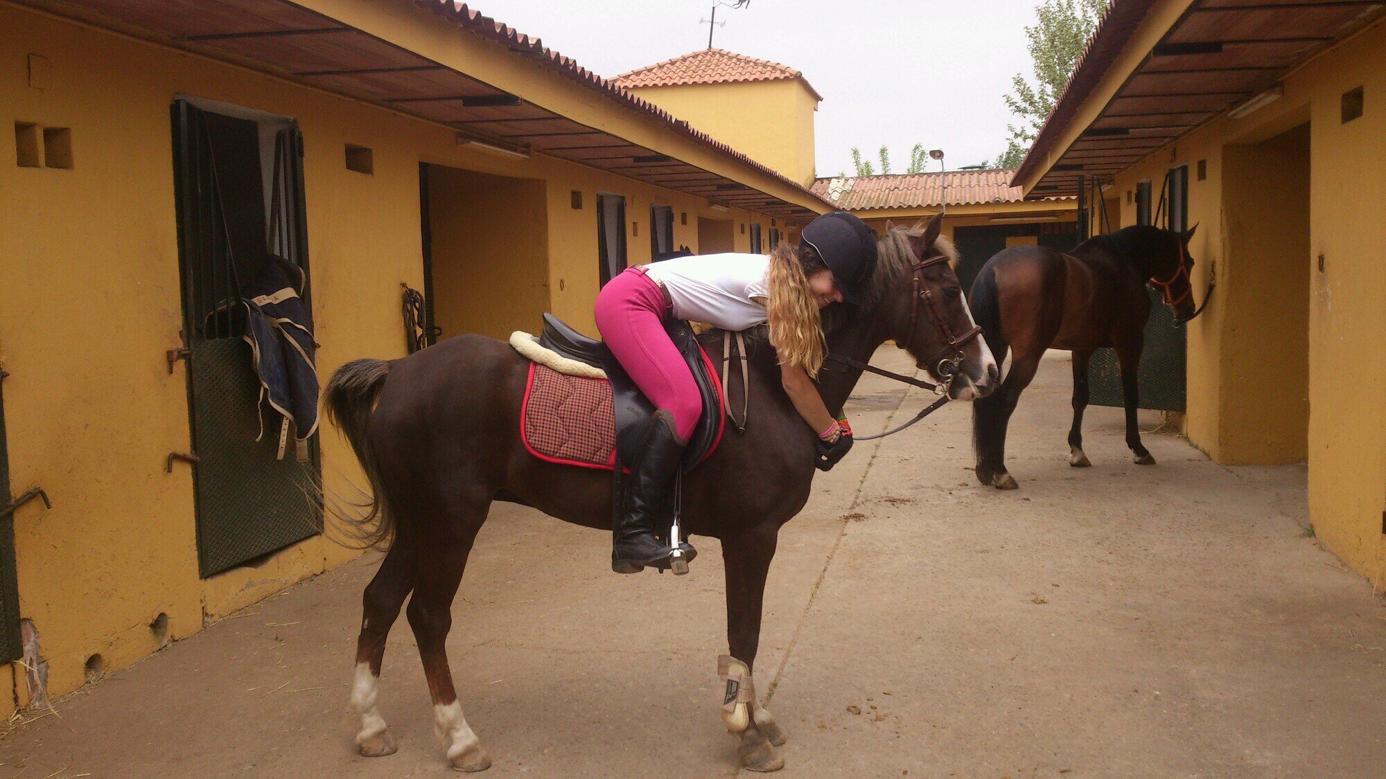 Cedric 17, Dalia 3