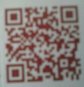 Fashion head and skills development trainer cricket and soccer for slashers and spinners and ballertainers try my sessions