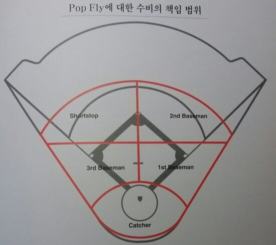 야구 칼럼니스트.