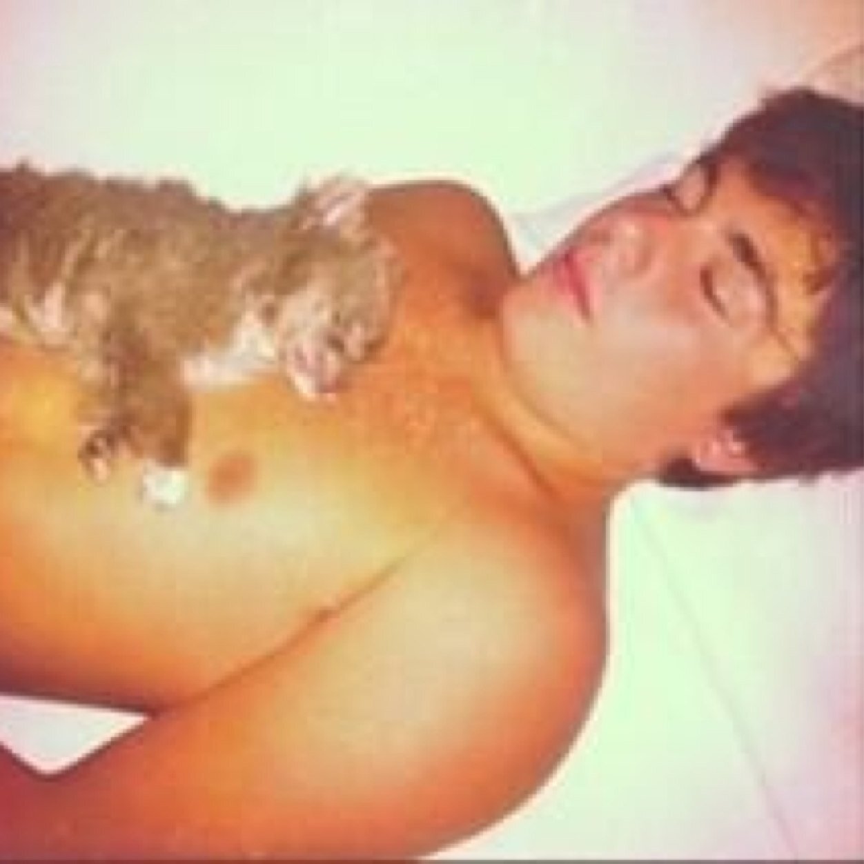 somerschazrp's profile picture. chantel