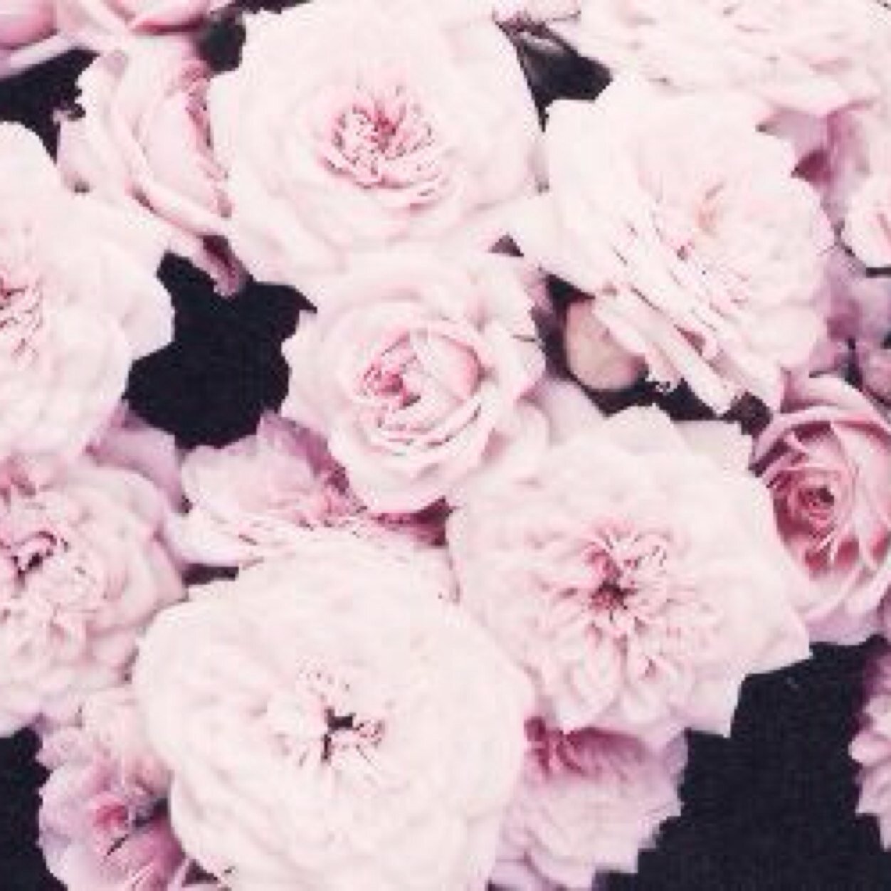 معلمة رياض أطفال 🦋✨ الحمدلله💕