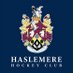 Haslemere Hockey (@HaslemereHockey) Twitter profile photo