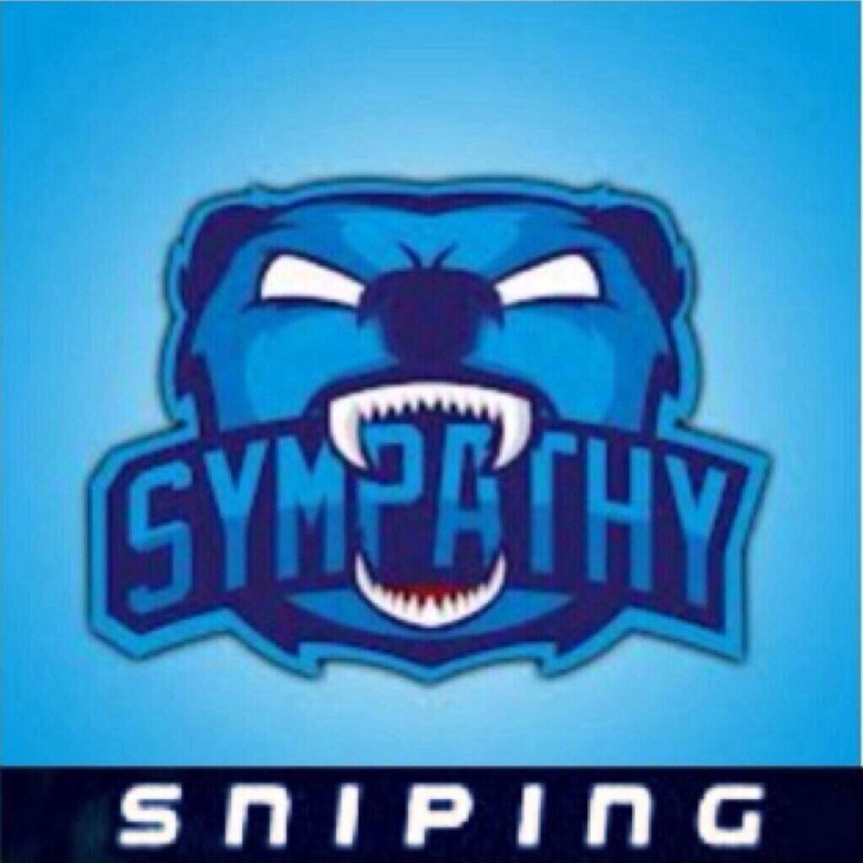 PS3 Sniping Team that are recruiting, let us know if your interested!