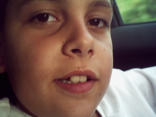 teddydd's profile picture. 