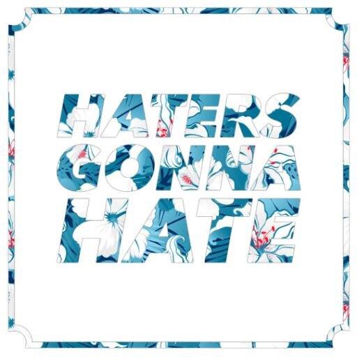 HTRSGNNHTparty's profile picture. Haters are the new Lovers!