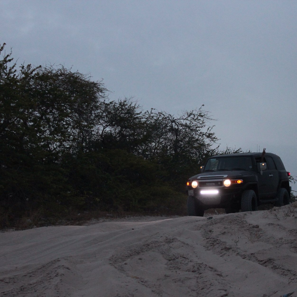 DaJoKeR911's profile picture. Nani