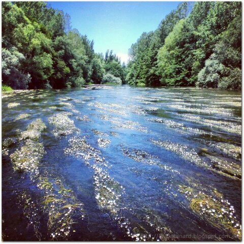 ruvailda's profile picture. 