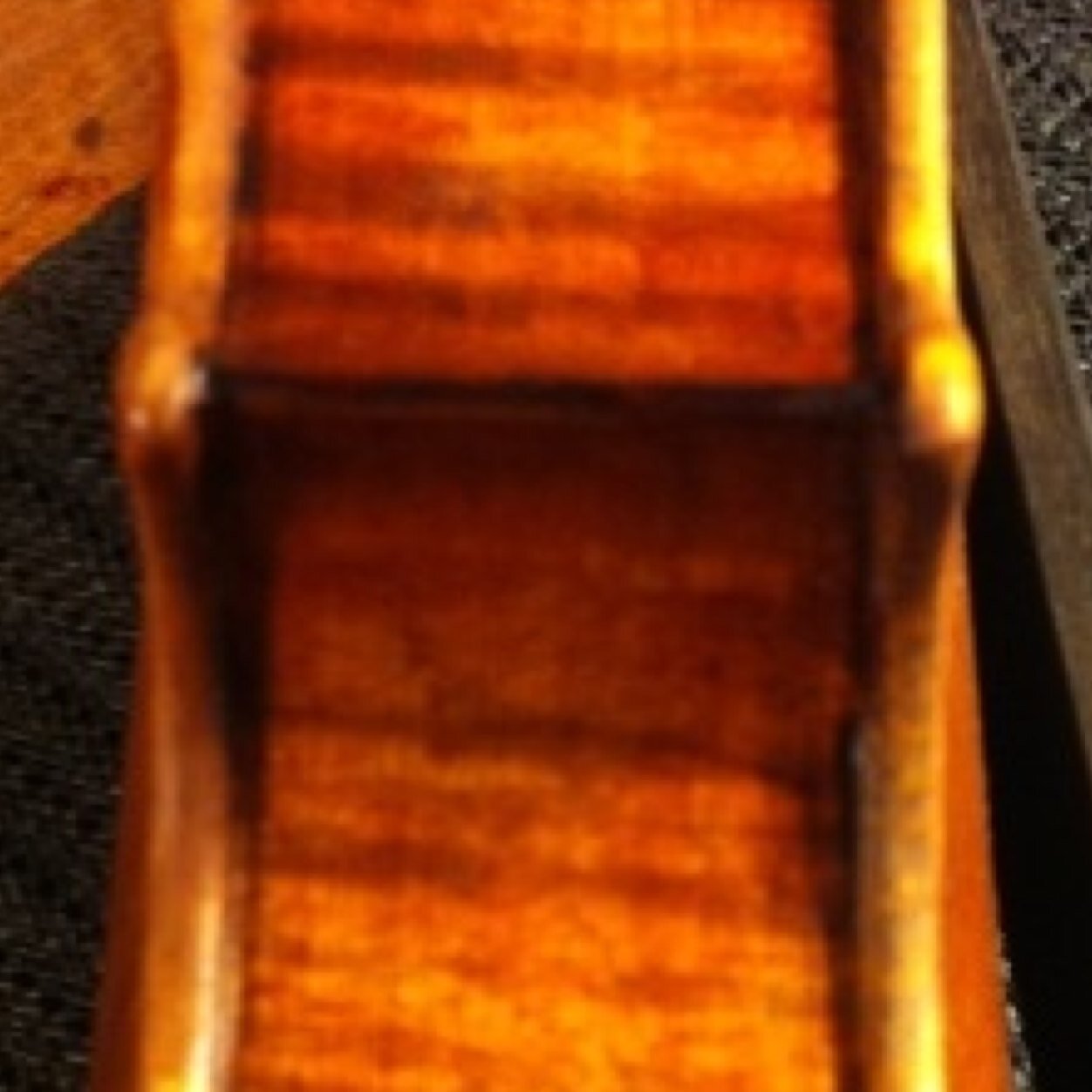 DanielaSolca's profile picture. violin maker