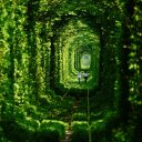 Edward Carmichael - @EdwardCarmel - Twitter