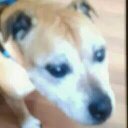 Lewis Curtis - @sickdude123456 - Twitter