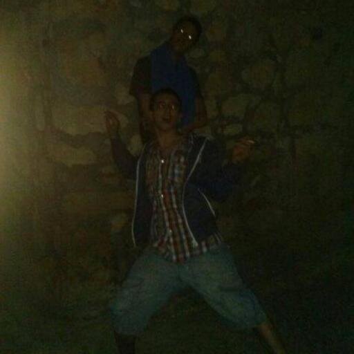 reales 4 gatos