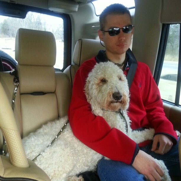 adoodlesworld's profile picture. Come join us on http://t.co/p0grCUC7O2 - It's a place for doodle lovers to share, socialize, share pics & have fun! #labradoodle #Goldendoodle