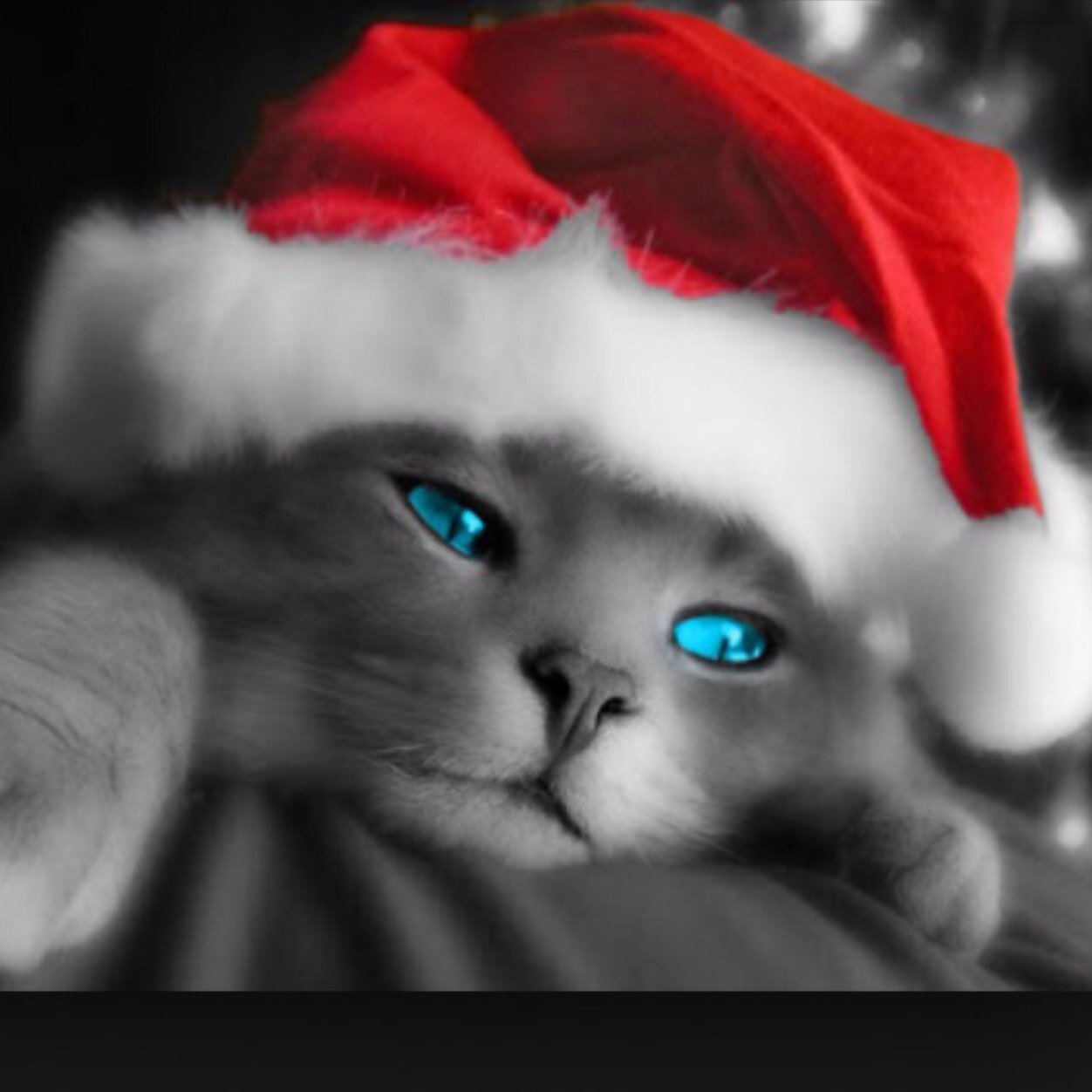 turbojet35's profile picture. 