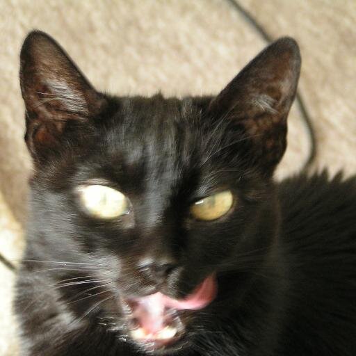 JacquelineLWay's profile picture. Shift fr goods Demand economy towards quality of life Supply economy w green infrastructure, healthcare & eco tourism. Improve civilisation & environment